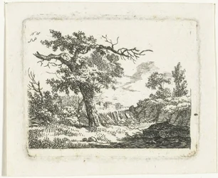 Paesaggio con albero con due rami secchi