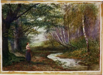 Burnham Beeches, Autunno