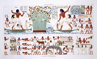 Preparazione del cibo per i morti, da un raro registro di affreschi di Tebe, registrato 1819-1822 durante la sua seconda visita in Egitto da Frederic Cailliaud (1787-1869)