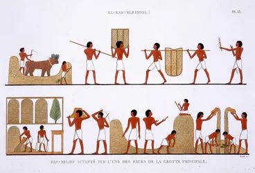 Trasporto, Conservazione e Registrazione delle scorte di Grano, da un raro resoconto di affreschi di Tebe, registrato 1819-1822 durante la sua seconda visita in Egitto da Frederic Cailliaud (litografia a colori)