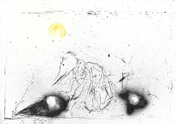 Misteriosa figura dal becco