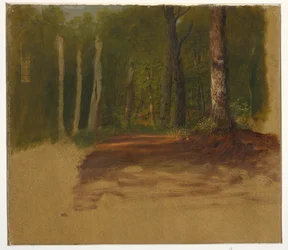 Una strada nel bosco