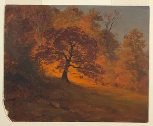 Fogliame autunnale