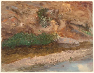 Riva di un Ruscello