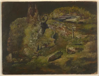 Masso nel bosco
