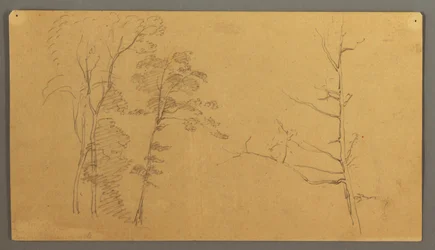 Disegno, Gruppo di alberi con la parte superiore di un albero morto, 1866