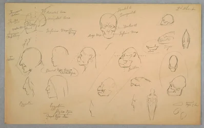 Disegno, Studi anatomici, 1865-70