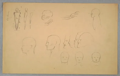 Disegno, Studi anatomici, 1865-70