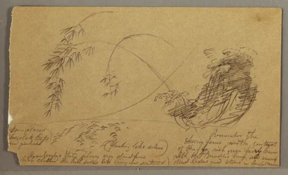 Disegno, Ramoscelli di bambù, forse 1865-66