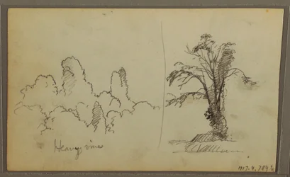 Disegno, Bireds, "Roccia nella baia di Panama"; verso: "Vite pesanti", 15 maggio 1857