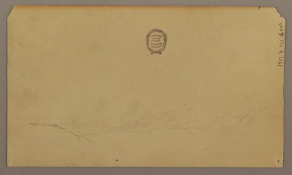 Disegno, schizzi botanici, agosto 1865