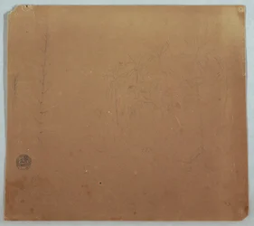 Disegno, schizzi botanici, forse bambù, palme e cespugli, Ecuador o Colombia, 1853 o 1857