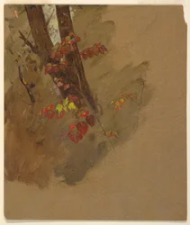 Disegno, studi botanici, 1860-70