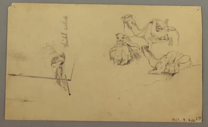 Disegno, Cammelli che bevono su una collina, 22 febbraio, forse 1868