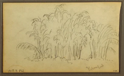 Disegno, Mucche in un paesaggio; verso: Bambù, 1857