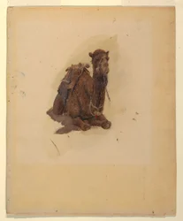Disegno, Dromedario accovacciato, 1868