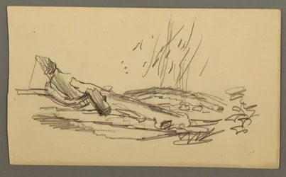 Disegno, Albero caduto, forse 1877