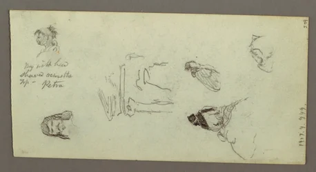 Disegno, Studi di figura, Crinale, forse 1868