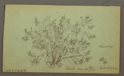 Disegno, Testa di uomo, Uomo che fuma, Studio di barca a vela, Casa, 27 maggio 1868