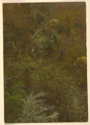 Disegno, collina coperta di cespugli e alberi, luglio 1865