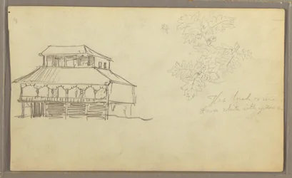 Disegno, Casa, Schizzo botanico, Ecuador o Colombia, 1857