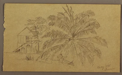 Disegno, Casa e Felce, maggio 1865