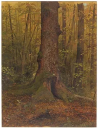 Disegno, Nel bosco, probabilmente Maine, 1850-60