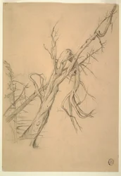 Disegno, accampamento indiano, Grand Manan, Baia di Fundy, settembre 1851