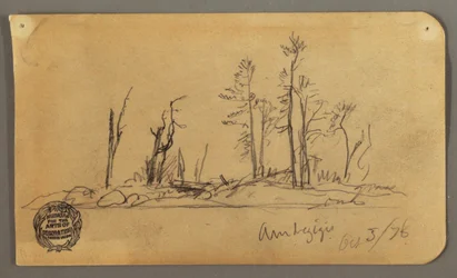 Disegno, Isola, 1878