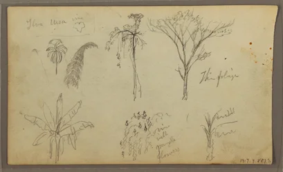 Disegno, Paesaggio, Guayaquil, Ecuador, 21 maggio 1857