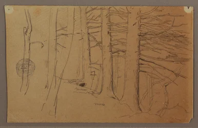 Disegno, parti inferiori di un gruppo di alberi che crescono su un pendio, 1862