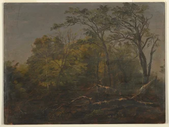 Disegno, Bosco del Maine, 1845-55