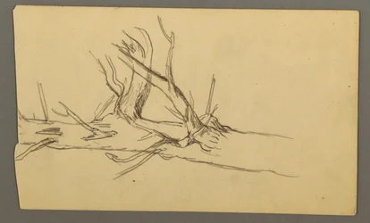 Disegno, sezione centrale di un tronco d