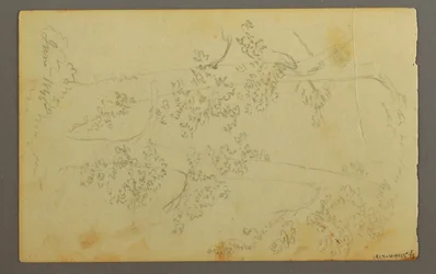 Disegno, Mulino circondato da alberi, 1845