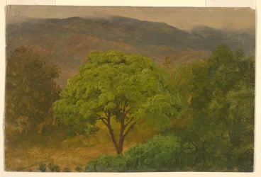 Disegno, Paesaggio montano, agosto 1865