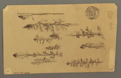 Disegno, Cima della montagna, 1877