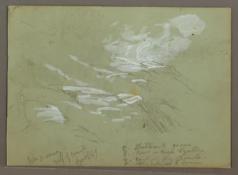 Disegno, Mountainside, aprile 1869