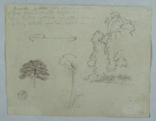 Disegno, Studi naturalistici dal Rio Magdalena, Colombia:  Alberi, viti e una canoa, maggio 1853