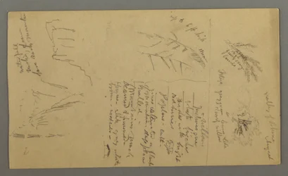 Disegno, Studi vegetali, Note vegetali, Cascata, 1868