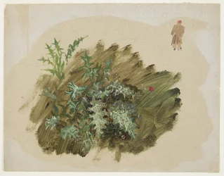Disegno, Studi di piante, 1865