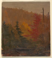 Disegno, probabilmente vicino a Katahdin, autunno 1865-70