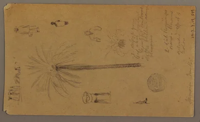 Disegno, schizzi dalla Giamaica, Indie Occidentali, giugno 1865