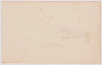 Disegno, Schizzi di nuvole e betulla morta, luglio 1844
