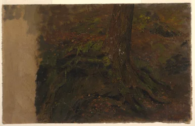 Disegno, Studio di un tronco d
