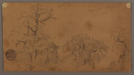 Disegno, cime degli alberi, Niagara, 27 agosto 1856