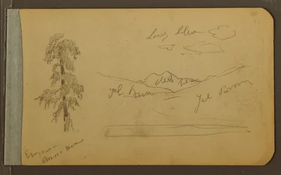 Disegno, Albero, montagne, 1889