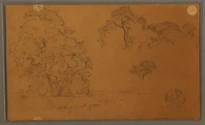 Disegno, Alberi, 1857
