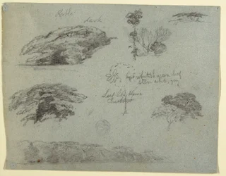 Disegno, Alberi, cime di alberi e una riva boscosa, Saddleback, Maine, 1853