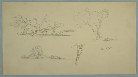 Disegno, Alberi, una riva con cespugli e alberi, settembre 1876