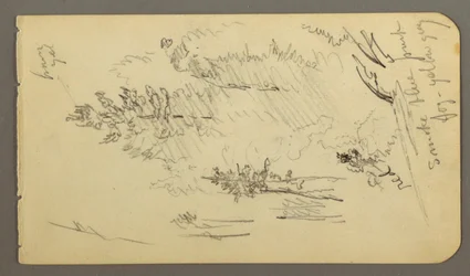 Disegno, Alberi nella nebbia, forse 1878